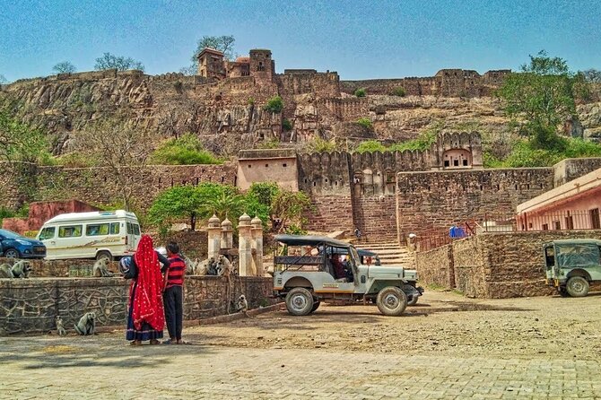 03 Days Private Ranthambore Wildlife Safari Tour From Delhi - Hotel Stay in Ranthambore: Comfort That Matches Your Option