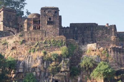 03 Days Private Ranthambore Wildlife Safari Tour From Delhi - Day 1 from Delhi: Airport Pickup, Check-In, and Ranthambore Fort