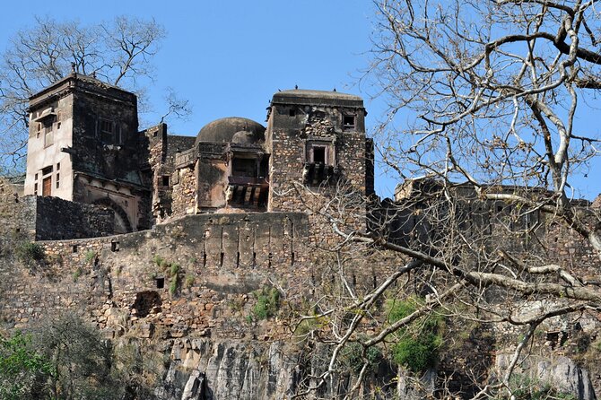 03 Days Private Ranthambore Wildlife Safari Tour From Delhi - Day 3: Breakfast, Then Back to Delhi