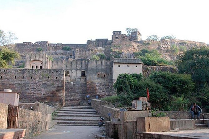 03 Days Private Ranthambore Wildlife Safari Tour From Delhi - Safari Vehicle Choice: Shared Canter Now, Private Jeep if You Pay