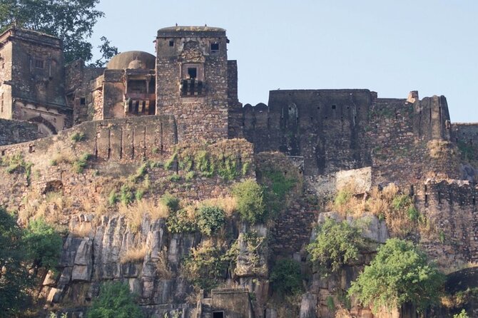 03 Days Private Ranthambore Wildlife Safari Tour From Delhi - Day 1 from Delhi: Airport Pickup, Check-In, and Ranthambore Fort