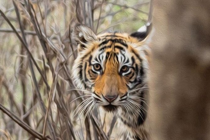 05 Days - Private Luxury Golden Triangle Tour with Ranthambore - Day 1 in Delhi: Qutub Minar, Lotus Temple, Jama Masjid, and Chandni Chowk