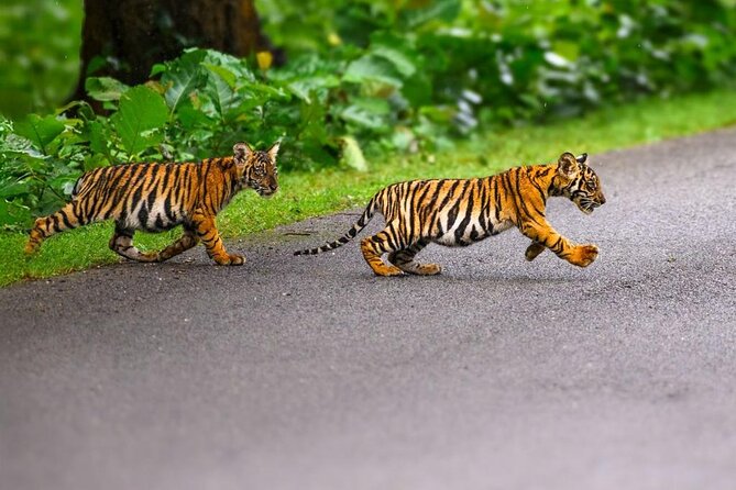05 Days - Private Luxury Golden Triangle Tour with Ranthambore - Jaipur Day 4: City Palace and Jantar Mantar in the Pink City