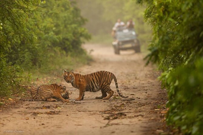 05 Days - Private Luxury Golden Triangle Tour with Ranthambore - Guides, Hotels, and the Small-Group Feel You’re Paying For