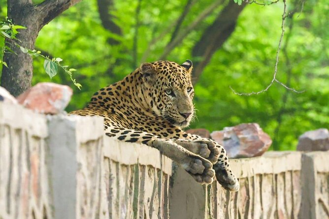 05 Days - Private Luxury Golden Triangle Tour with Ranthambore - Getting Around: Pickup, Private Car, and Real Travel Time