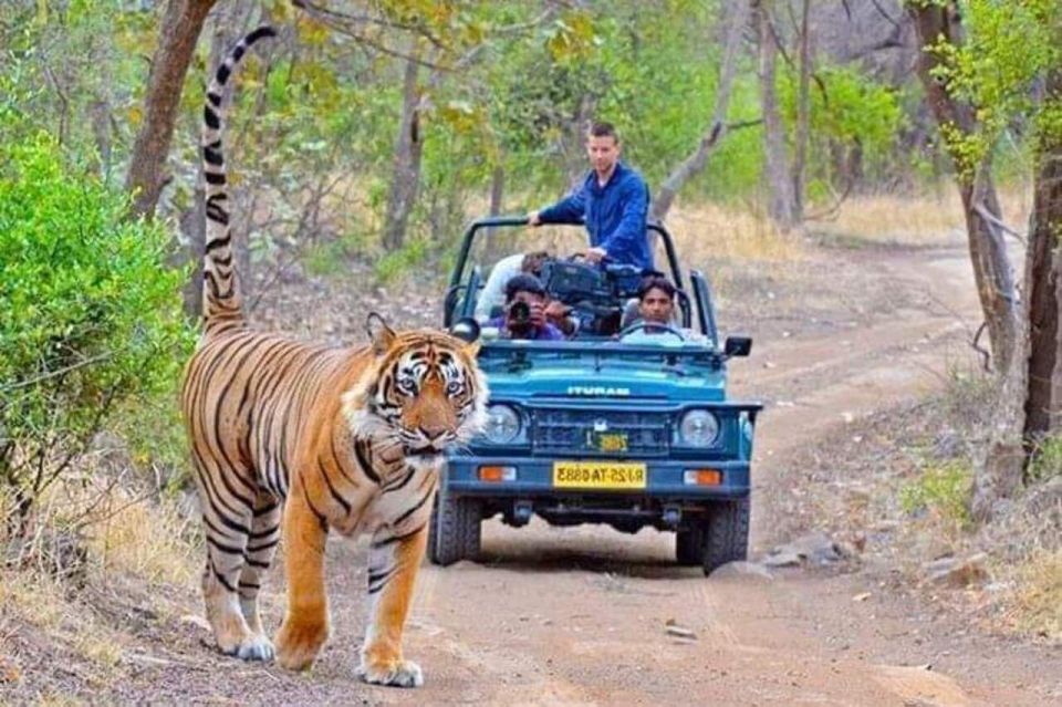 06 Days Golden Triangle Tour with Ranthambore Safari - Key highlights worth your attention