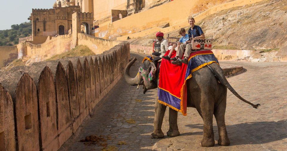 06 Days Golden Triangle Tour with Ranthambore Safari - A Golden Triangle that adds real wildlife to the mix