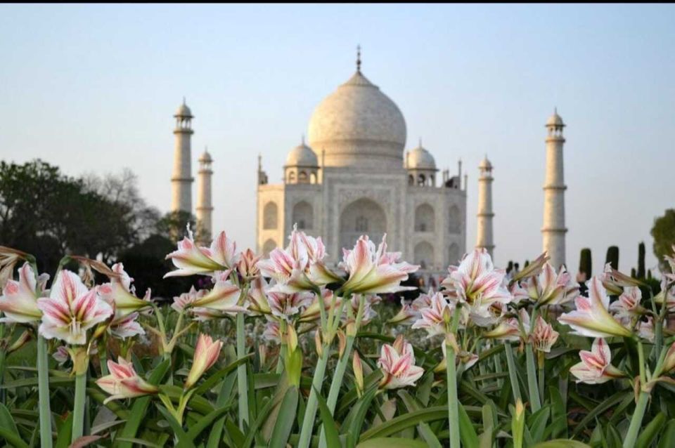 06 Days Golden Triangle Tour with Ranthambore Safari - Day 2 Delhi sights: India Gate, Qutub Minar, Humayun’s Tomb