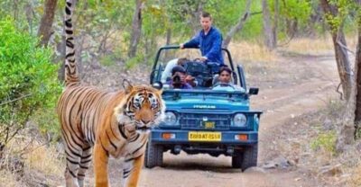 06 Days Golden Triangle Tour with Ranthambore Safari - Day 1 in Delhi: arrive at IGI, then settle quickly