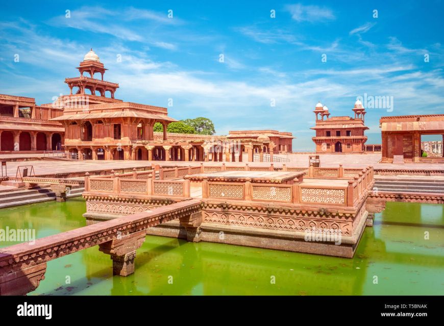 06 Days Golden Triangle Tour with Ranthambore Safari - Day 4 Ranthambore: two safari days that change your pace