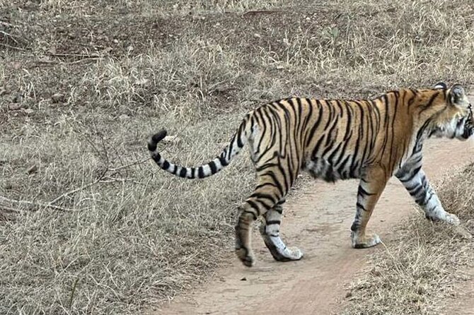 08 Days Golden Triangle Tour with Ranthambore and Jhalana Safari - Day 4: Sunrise Taj Mahal plus Fatehpur Sikri and Chand Baori
