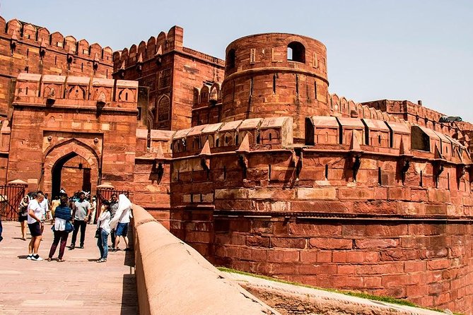 3-Day Private Ranthambhore Tiger Tour Including Delhi, Agra, Jaipur - Getting to the finish line: the 5-hour drive to Delhi or onward drop-off