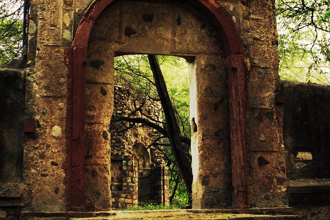 3-Hour Mehrauli Archaeological Park Ruins Walking Tour Delhi - Birdlife, shade, and the small moments you can plan for