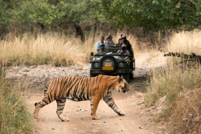 4 Days Golden Triangle Tour with Ranthambore from Delhi - Day 2 at 6:00 AM: Sunrise Taj Mahal Without the Chaos