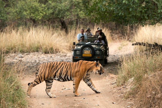 4 Days Golden Triangle Tour with Ranthambore from Delhi - Day 2 at 6:00 AM: Sunrise Taj Mahal Without the Chaos