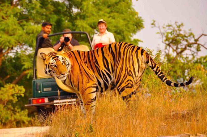 5 Days Golden Triangle Tour with Ranthambore Delhi Agra Jaipur - Day 1 in Delhi: Qutub Minar area, Lutyens Delhi, India Gate