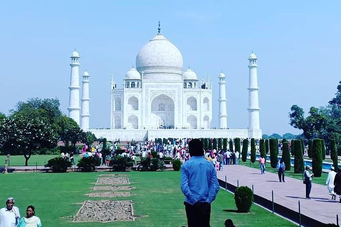 5 Days Golden Triangle Tour with Ranthambore Delhi Agra Jaipur - Price and logistics: what you’re paying for (and what you’re not)