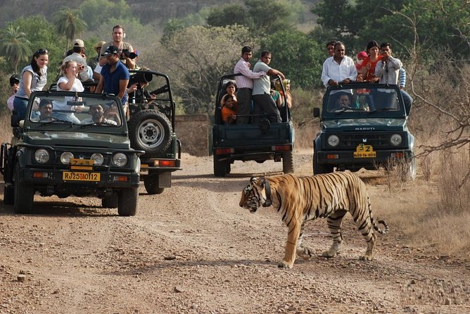 5 Days Golden Triangle Tour with Ranthambore Tiger Safari - Sunrise at the Taj Mahal: Timing, Friday Closures, and Budget Reality