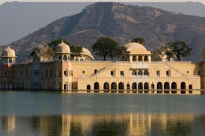 5 Days Golden Triangle Tour with Ranthambore(Delhi Agra Jaipur Ranthambore Tour) - Day 3 Ranthambore morning safari: shared jeep/canter expectations