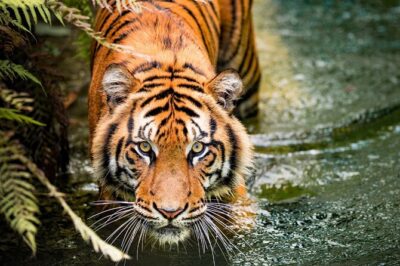5 Days Golden Triangle with Ranthambore (Delhi Agra Jaipur Ranthambore Tour) - Day 1 in Delhi: photo stops that keep the day from dragging