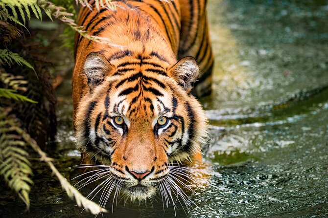 5 Days Golden Triangle with Ranthambore (Delhi Agra Jaipur Ranthambore Tour) - Day 1 in Delhi: photo stops that keep the day from dragging