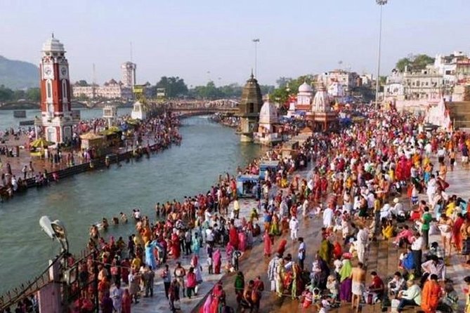 6-Day Rishikesh & Haridwar Spiritual Tour from Delhi - Day 4: Vashistha Cave and a Rajaji National Park Safari Afternoon