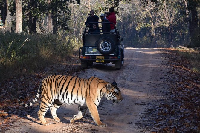 6 Days Golden Triangle Tour with Ranthambore: Delhi Agra Jaipur Ranthambore Tour - Tigers and the Taj: What This 6-Day Route Gets Right