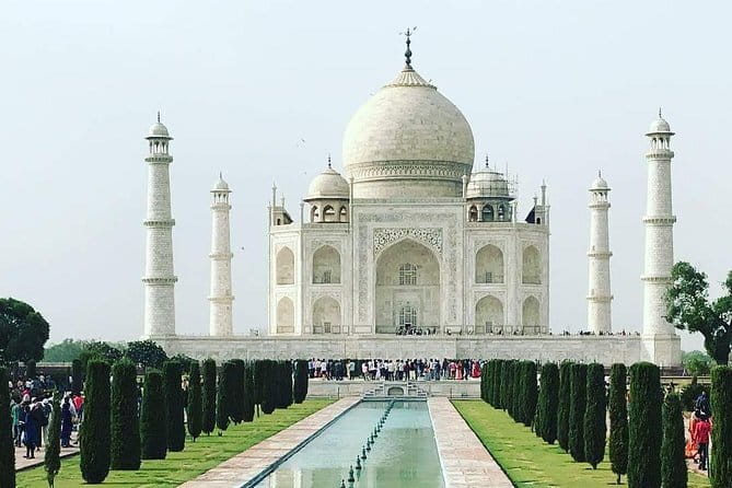 6 Days Golden Triangle with Ranthambore & Varanasi Tour - Day 3 in Ranthambore: one safari with a naturalist focus