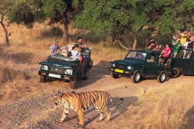 7-Day Golden Triangle & Ranthambore Tiger Safari from Delhi - Day 1 in Delhi: airport pickup and a low-stress start