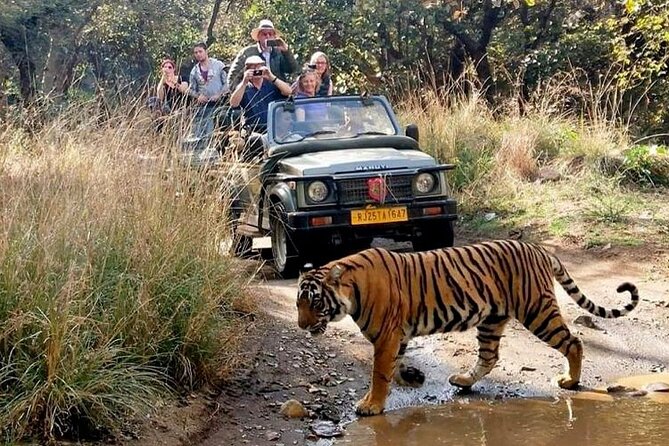 7-Day Golden Triangle Tour with Ranthambore Tiger Safari - Road Day to Agra: Express Highway Drive and Agra Fort