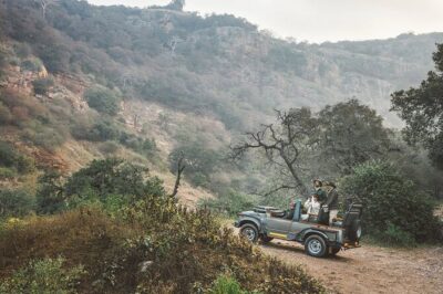 7-Day Golden Triangle Tour with Ranthambore Tiger Safari - Delhi Arrival Day: Pickup, Your Guide, and Getting Oriented