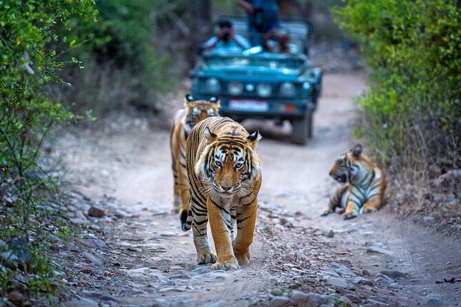 7 Days Golden Triangle Tour with Ranthambore & Varanasi Tour - Delhi Day One: UNESCO sites and an easy pickup from Delhi NCR