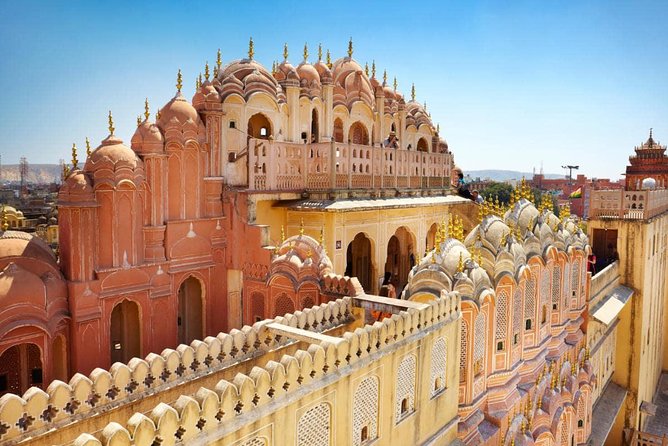 7 Days Golden Triangle Tour with Ranthambore & Varanasi Tour - Ranthambore sunrise safari: shared jeep/canter plus a naturalist