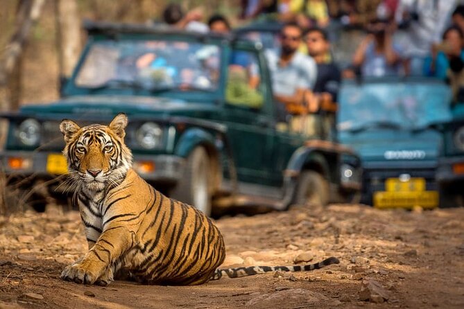 7 Days Golden Triangle Tour with Ranthambore & Varanasi Tour - Taj Mahal at 6 AM: why sunrise matters