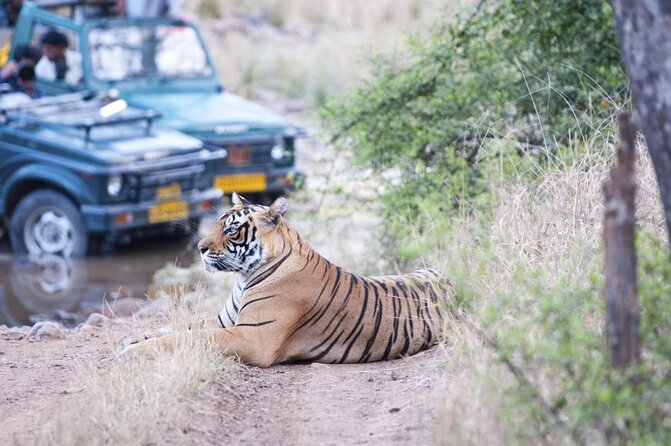 7 Days Private Luxury Golden Triangle Tour With Ranthambore - Key highlights to look for