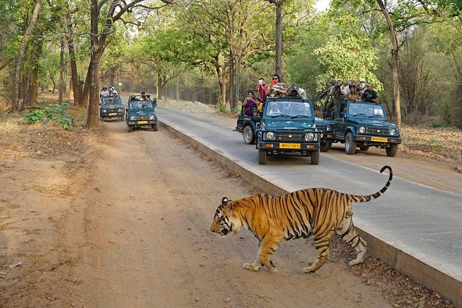 8 Day Golden Triangle Tour with Ranthambore {Taj , Tigers & More} - Agra and the Taj Mahal Sunrise: Timing Is Everything
