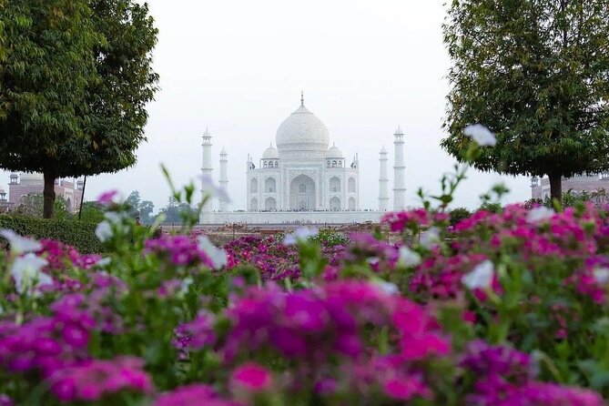 All Inclusive Same Day Taj Mahal and Agra Fort Tour from Delhi - Price and value: is $285 worth a one-day Taj and Fort?