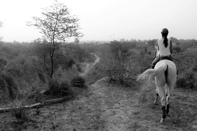 Aravali Trail Experience( Jungle Safari Forest area)- Horseback Riding - Why This Aravalli Horse Ride Feels Different Than a City Activity
