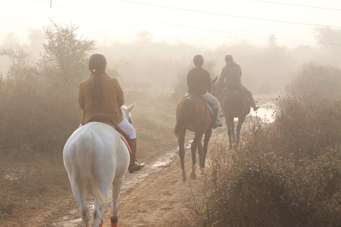 Aravali Trail Experience( Jungle Safari Forest area)- Horseback Riding - The Private Lesson: How Beginner-Friendly Coaching Actually Works