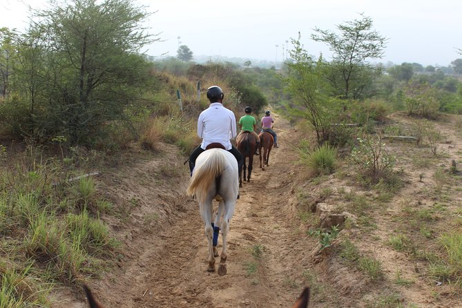 Aravali Trail Experience( Jungle Safari Forest area)- Horseback Riding - The Break Area: Where You Can Catch Your Breath and Enjoy the View
