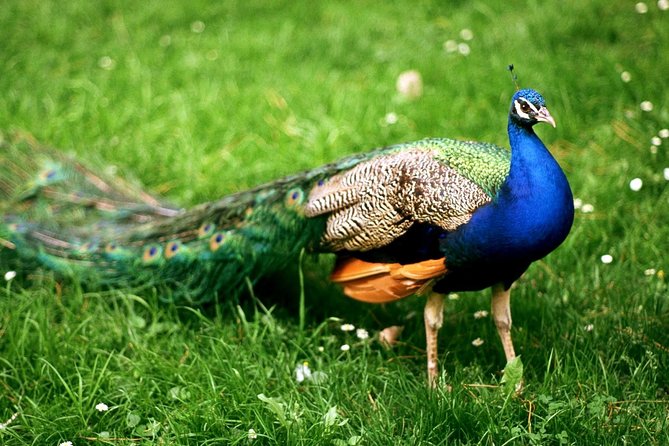 Bharatpur Bird watching & Wildlife from Delhi - Morning pickup and the Delhi to Bharatpur drive