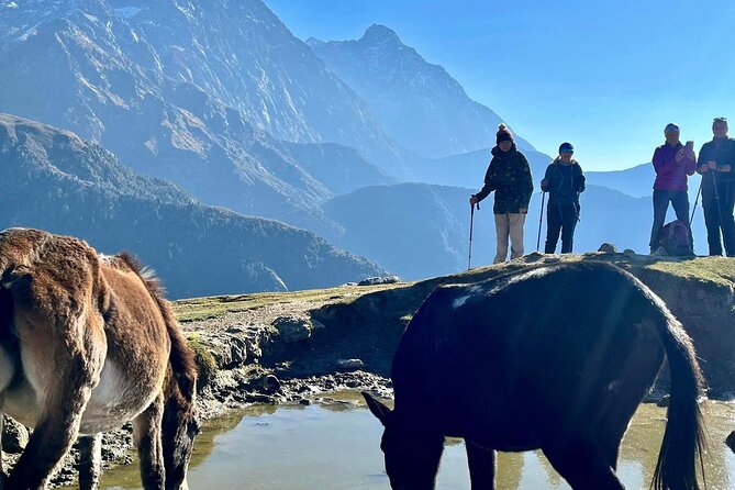 Dalai Lama Himalayan Trek - Day 8: descending into Dharamsala and switching to Tibetan-style dinner
