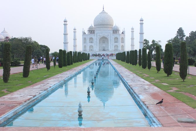 Day Trip to Taj Mahal from Delhi by Private Car - Private car from Delhi: what the 12-hour rhythm really feels like