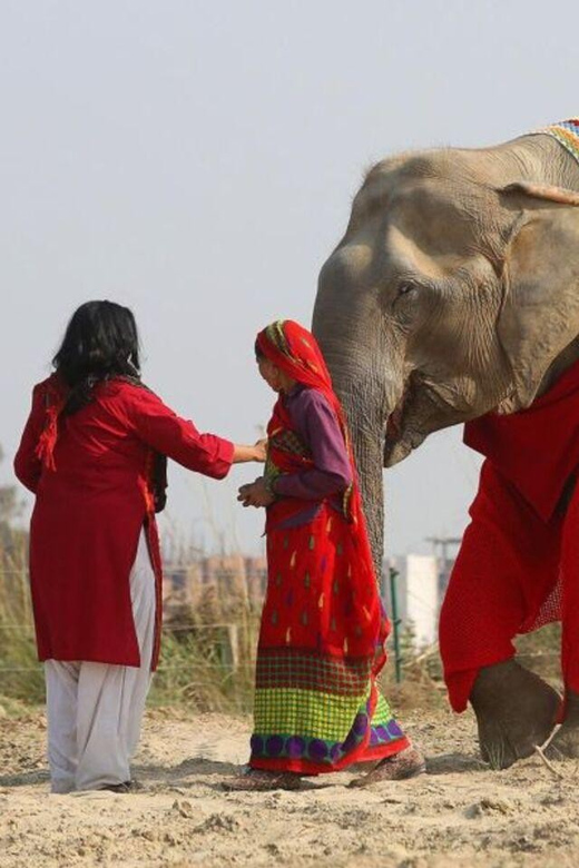 Delhi: 3Day Golden Triangle with Elephant SOS (5 Star Hotel) - Golden Triangle in three days: how this plan actually feels