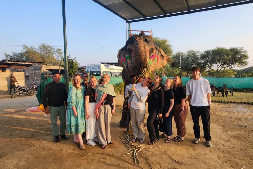 Delhi - Agra - Jaipur 3 Day Tour - Why this Delhi–Agra–Jaipur plan works in 3 days