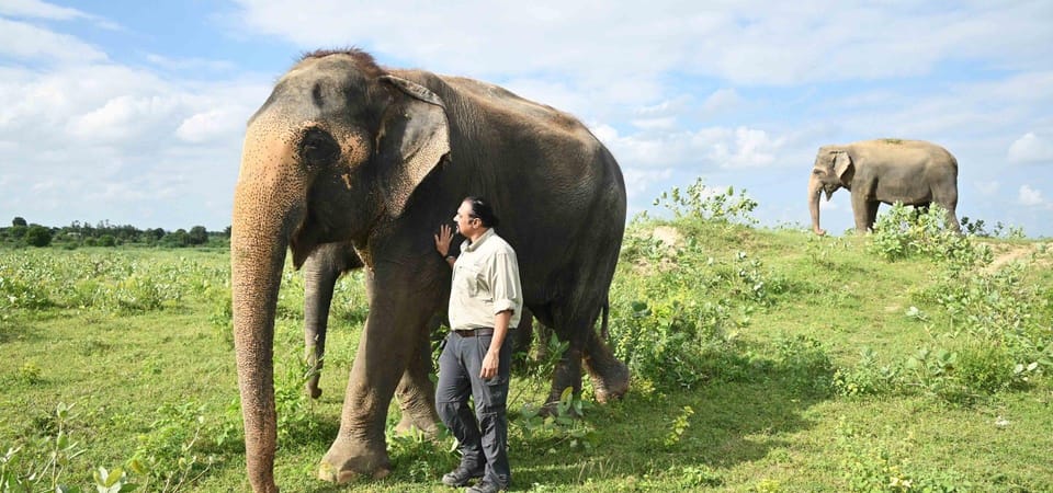 Delhi: All-Inclusive Day trip Taj Mahal with Elephant SOS - Timing: sunrise departures and the Friday Taj Mahal rule