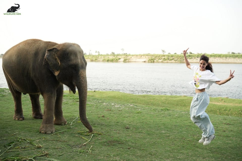 Delhi: All-Inclusive Day trip Taj Mahal with Elephant SOS - Price and value: how $21 can work for you (or not)