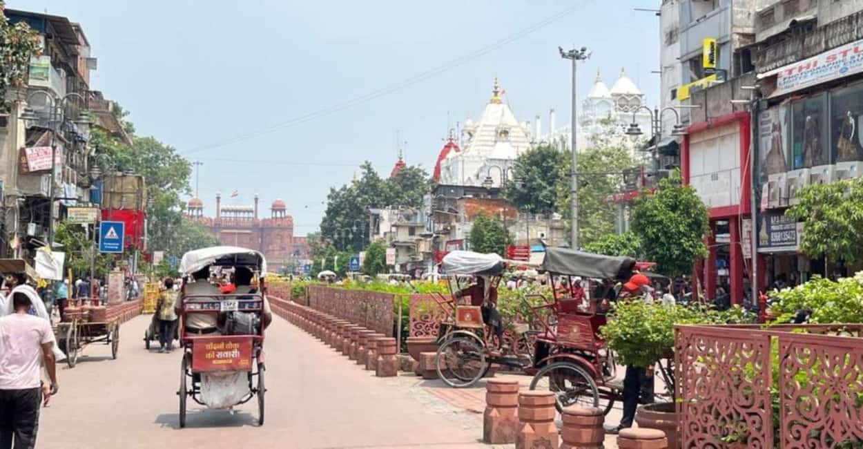 Delhi: All-Inclusive Full or Half Day Tour With Hotel Pickup - Lunch stop: built into the schedule so you don’t lose momentum