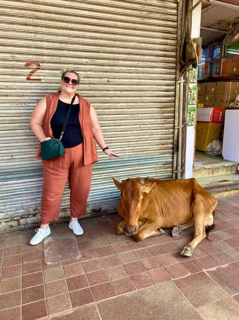 Delhi: Old Delhi's Street Food, Temples & Spice Market Tour - Key highlights you’ll remember
