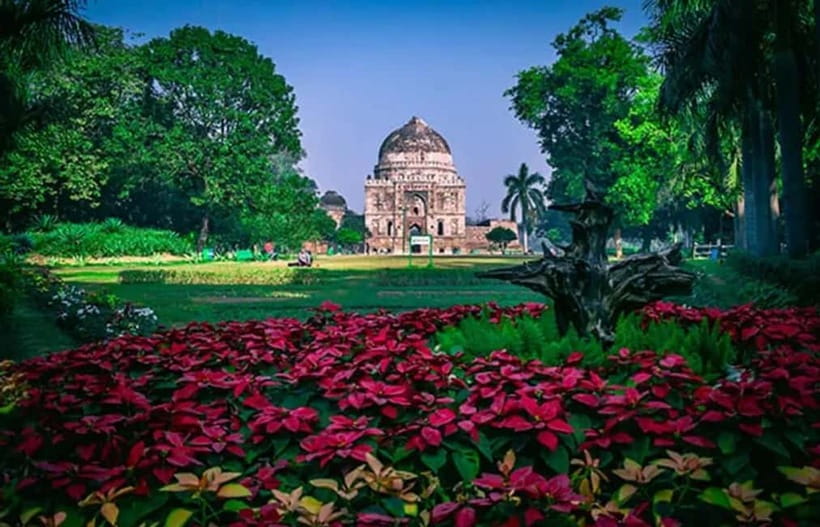 Delhi: Old & New Delhi Private Tour Full or Half-Day By Car - Lunch, Raj Ghat, and how the guide keeps the day from feeling rushed